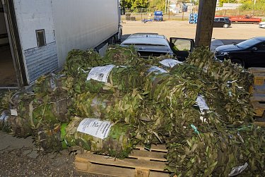 Оренбургский депутат собрал машину гумпомощи